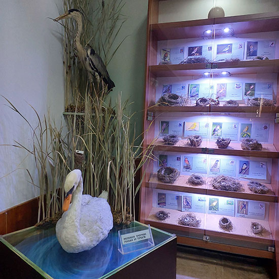 �������� �� ����������� �����: ��������� ��� ������ �� ����� �����